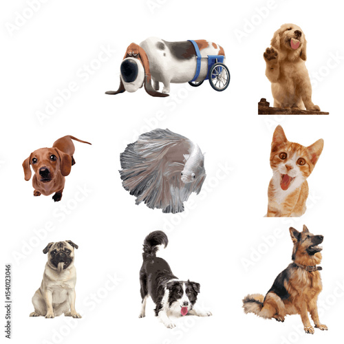 Vector art of a playful collection of pets, isolated on transparent background