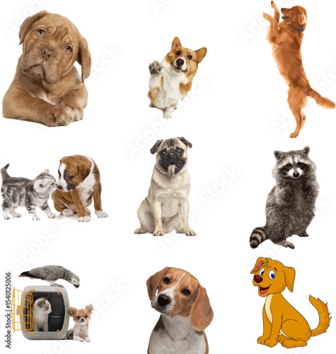 Vector art of a playful collection of pets, isolated on transparent background