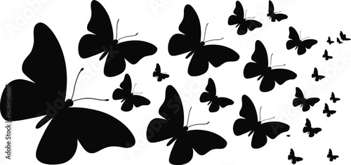 Silhouette of many butterflies in various sizes on a white background