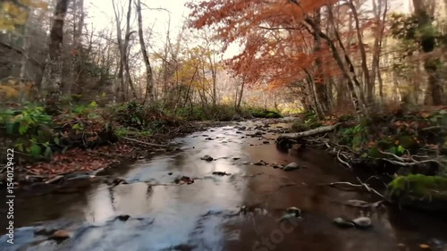 Autumn River Flowing Through Forest with Colorful Trees