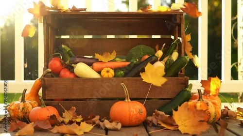 Autumnal Abundance Fresh Harvest Vegetables Pumpkins Falling Leaves Display