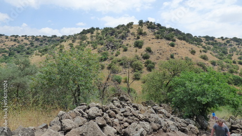 Photos the landscape in the village of the negev desert of the north of israel