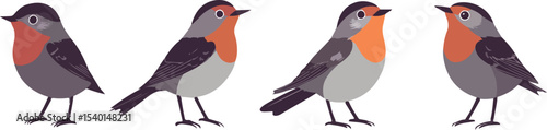 Four European Robins in a Row Simple Bird Illustrations Vector Graphics Isolated on White Background Cute and Minimalist for Children s Books or Nature Themed