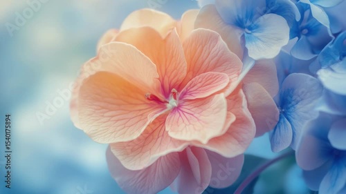 Wallpaper Mural A close-up shot of a flower on a bright blue background, perfect for use in designs and projects where a pop of color is needed. Torontodigital.ca