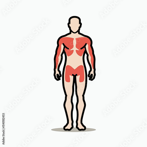 Human anatomy icon showing major muscle groups highlighted in red, a minimalist fitness diagram for workout planning, physical therapy, and medical charts.
