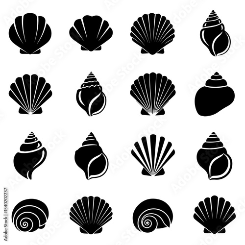 Vibrant collection of seashells showcasing natural beauty and ocean charm