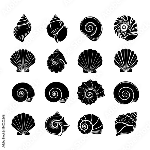 Beautifully detailed sea shells showcasing natural ocean treasures vibrant and captivating