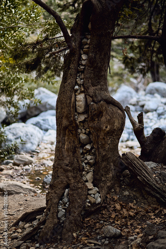 Quadro em tela Samaria Schlucht Kreta