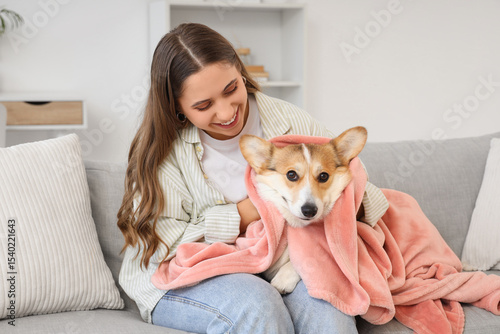 Young woman and Corgi dog w...