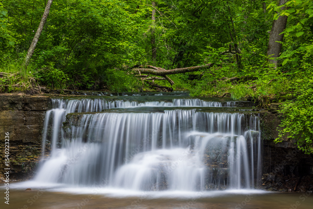 Fototapeta premium Caron Falls - A Scenic Waterfall Landscape In The Woods