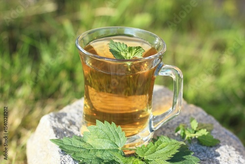 Nettle tea made from nettles Urtica dioica. Herbal tea with fresh nettle leaves on stone in the garden.