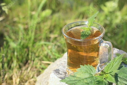 Nettle tea made from nettles Urtica dioica. Herbal tea with fresh nettle leaves on stone in the garden.