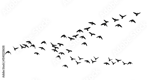 Flock of Black Birds Flying in Formation on White Background
