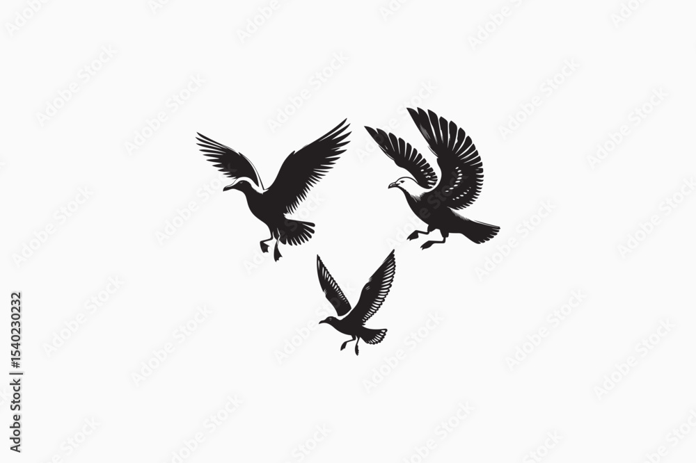 Obraz premium Gull bird vector silhouettes image made by adobe illustrator. eps