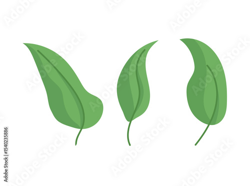 Leaves. Flat vector clipart, illustration with isolated background.