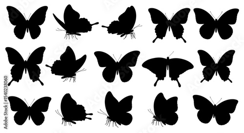 Collection of Black Butterfly Silhouettes in Various Angles