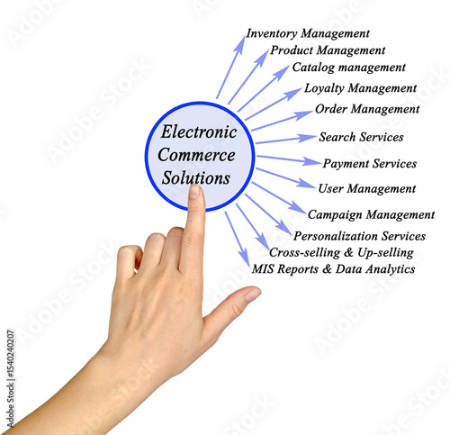 Presenting Twelve Electronic Commerce Solutions