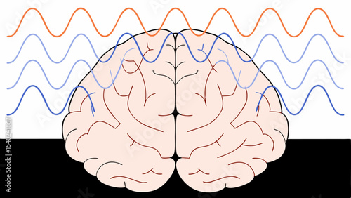 Brain Waves, Brain Activity, EEG