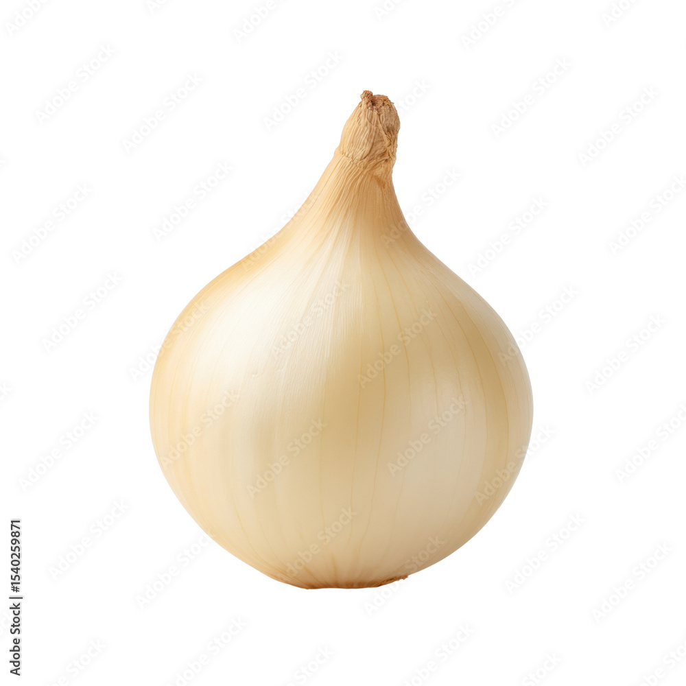 Fototapeta premium Fresh White Onion on Isolated Background for Culinary and Food Preparation Use Transparent background or png