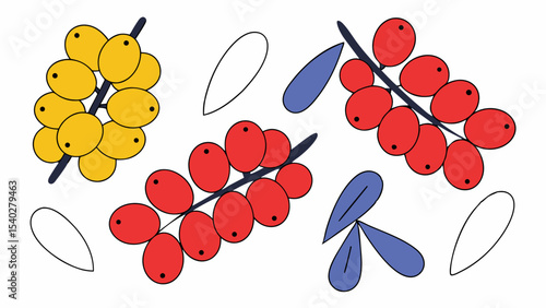 Colorful Berries on Branches
