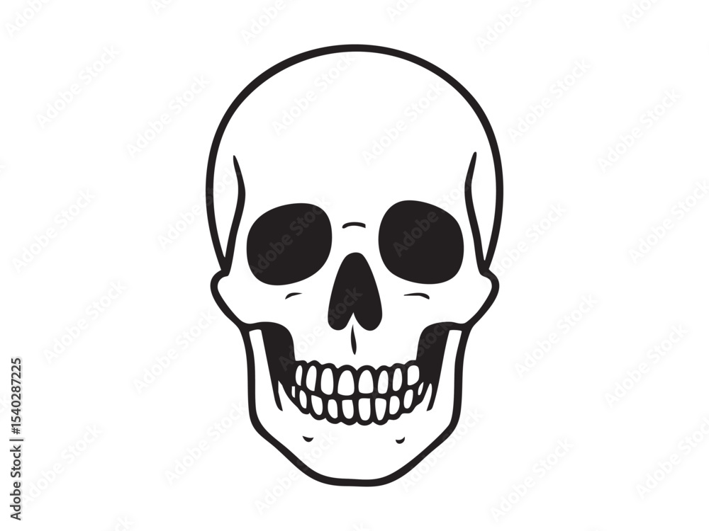 Black line drawing of a human skull isolated on white background, graphic illustration. concept of anatomy, bone structure, halloween, science, icon, design element, outline Black line drawing of a human skull isolated on white background, graphic illustration. concept of anatomy, bone structure, halloween, science, icon, design element, outline