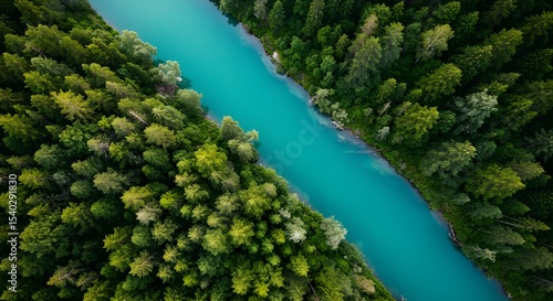 broccoli in the water