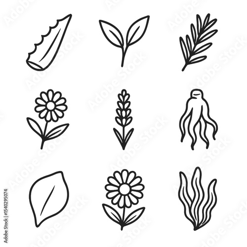 Botanical Extract Icons. Outline icon set of botanical extract rejuvenation: aloe vera leaf, green tea leaf, rosemary sprig,
