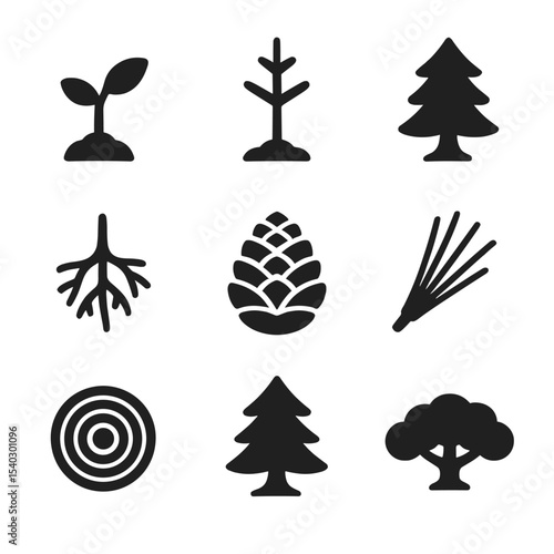 Pine Tree Growth Icons. Solid, filled icons set of pine tree growth stages: seedling sprout, young sapling,