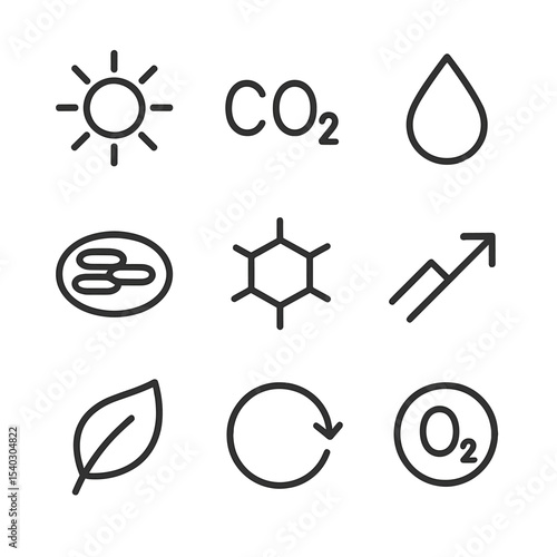 Photosynthesis Icon Set. Outline icon set of photosynthesis overview: sunlight, carbon dioxide molecule, water droplet,