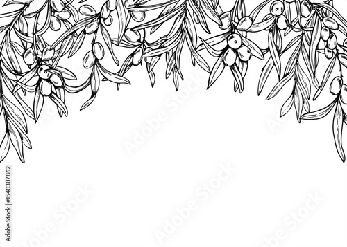 Monochrome sea buckthorn Horizontal rectangular border in vector linear style. Nordic berries realistic graphic sketch for wedding invitation, cosmetic packaging, menu design, book cover, stationery