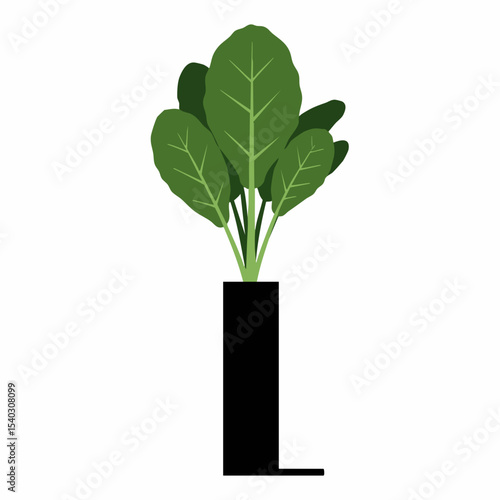 Stylized spinach plant with prominent leaf veins in a black rectangular pot