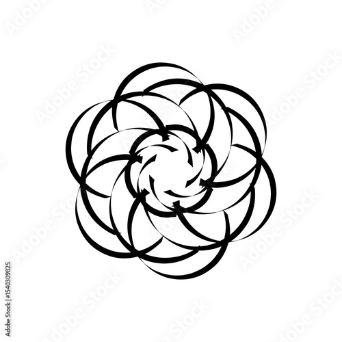 black and white rose
