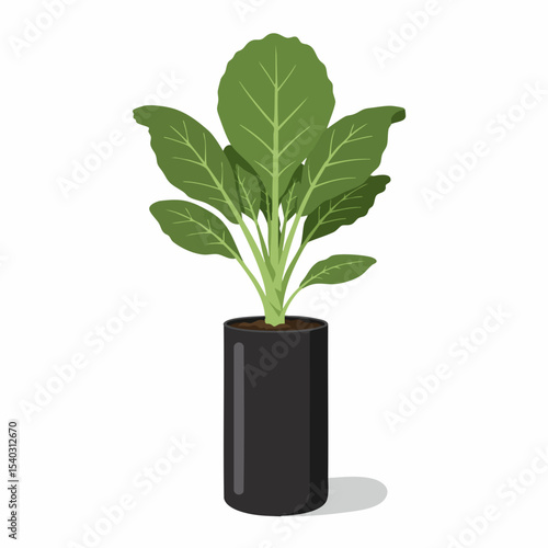 Vibrant Houseplant in a Modern Pot