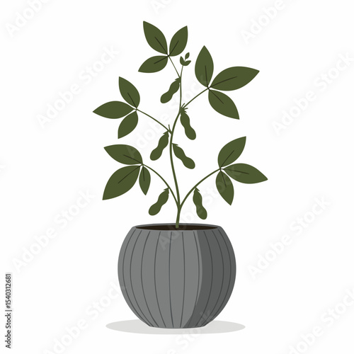 Vibrant Soybeans in a Stylish Gray Pot