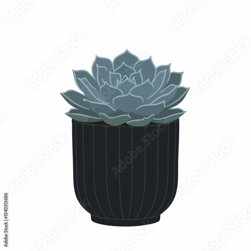 Stylized Echeveria Succulent in Dark Ribbed Pot, Vector Illustration