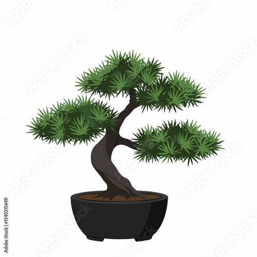 Ornamental Bonsai Tree in a Dark Pot