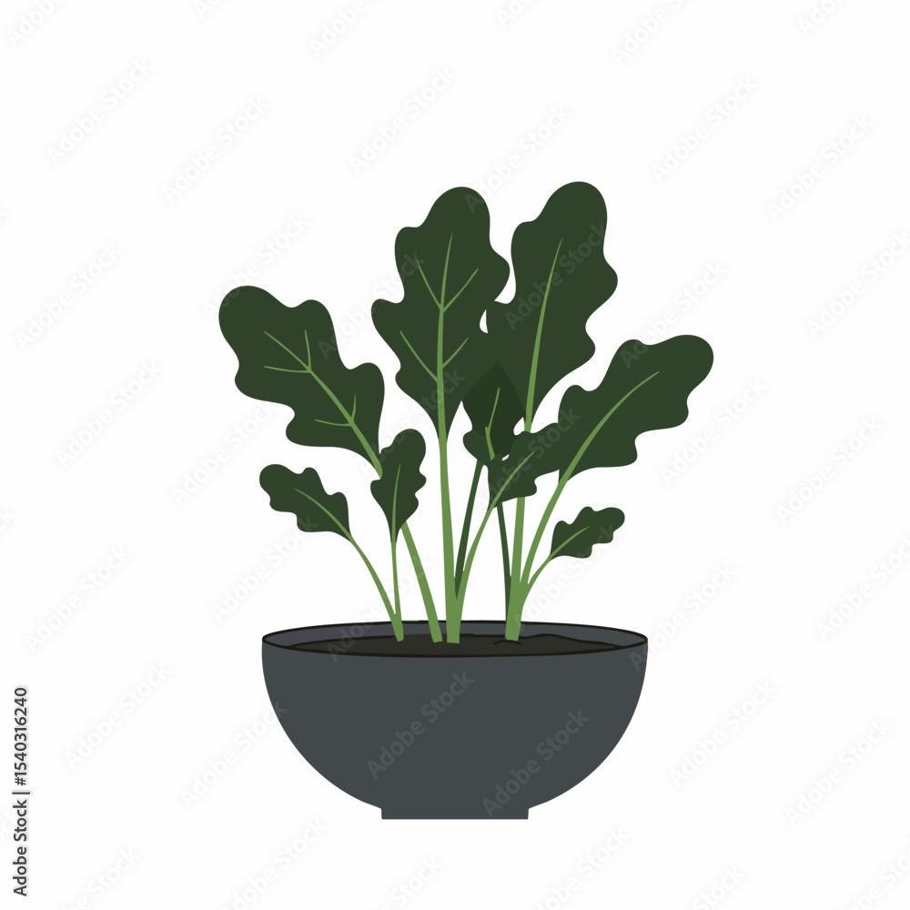 Dark Green Leafy Plant in a Gray Bowl Pot Dark Green Leafy Plant in a Gray Bowl Pot