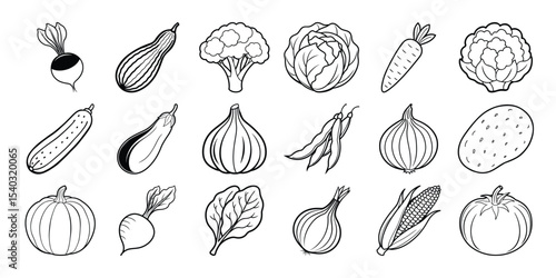 Collection of line art vegetables radishes zucchini broccoli cabbage carrots cauliflower cucumbers eggplant garlic peas onions potatoes pumpkins beets spinach corn