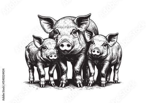 Adorable pig family of mother and two piglets in detailed black and white vintage style, perfect for farm, agriculture, or mascot use.