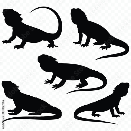 Bearded dragon silhouettes set illustration silhouette