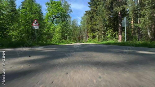 The car is driving fast along a country road, the camera is located close to the ground. It's summer outside, forest. First person view