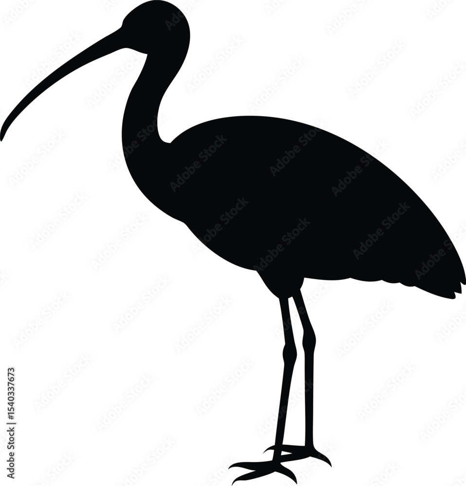 Fototapeta premium Roseate Spoonbill silhouette vector art illustration and minimal black and white design