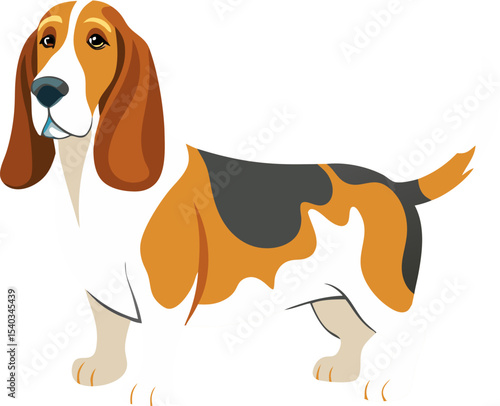 Basset Hound dog vector