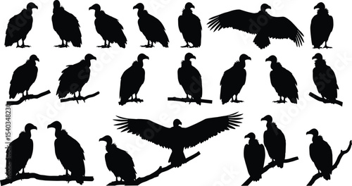 Vulture silhouette vector collection, perched and flying birds, black scavenger bird icons, carrion eater illustration, bird of prey silhouette, nature wildlife design elements pack