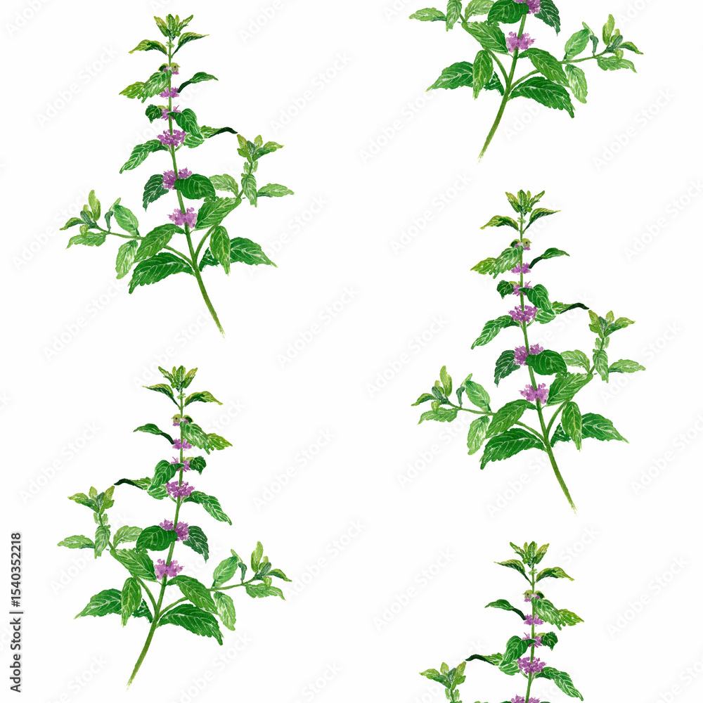 December 21st Birth Flower Mint Design Pattern Oriental Painting December 21st Birth Flower Mint Design Pattern Oriental Painting