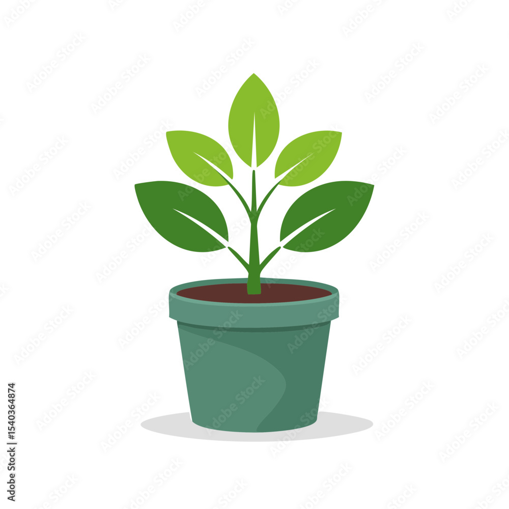 Fototapeta premium Green plant growing in a pot on a white surface against black backdrop depicting environmental care and indoor gardening, botanical growth concept