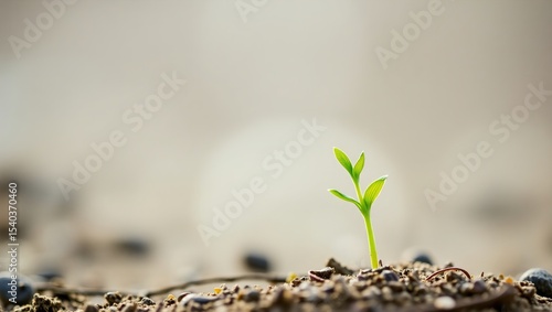 Delicate green shoot with tender leaves unfurls from the earth, surrounded by creamy mist. Soft, earthy tones in the blurred background evoke growth, renewal, and peaceful serenity.

