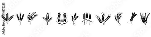 Wheat icon vector set. Cereals illustration sign collection. Harvest symbol. Farm logo.