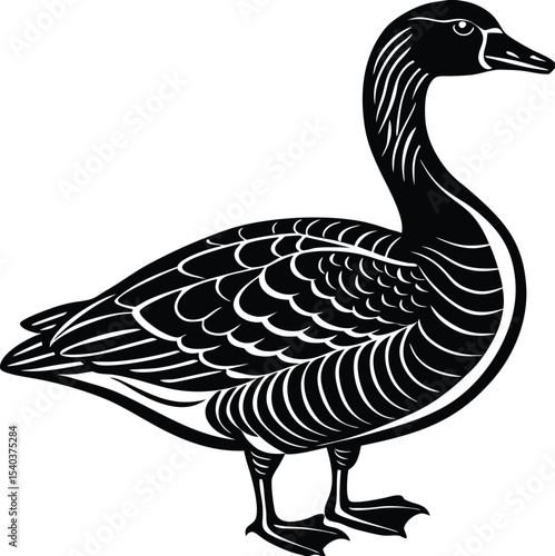 Elegant Black and White Goose Illustration A Majestic Waterfowl Design