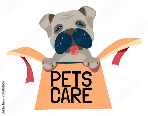 Adorable Puppy in a Box Pet Care and Adoption Illustration